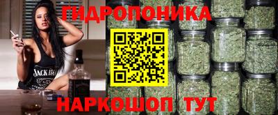 сатива Можга
