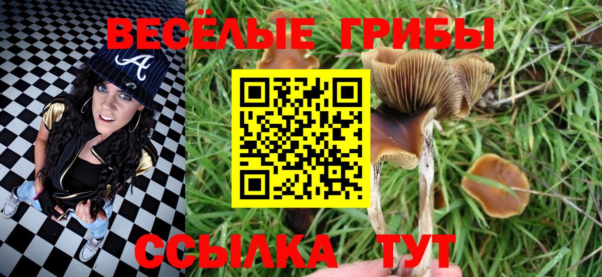 наркота  Вход с VPN  Галлюциногенные грибы Psilocybine cubensis  Тара  Галлюциногенные грибы Psilocybe 