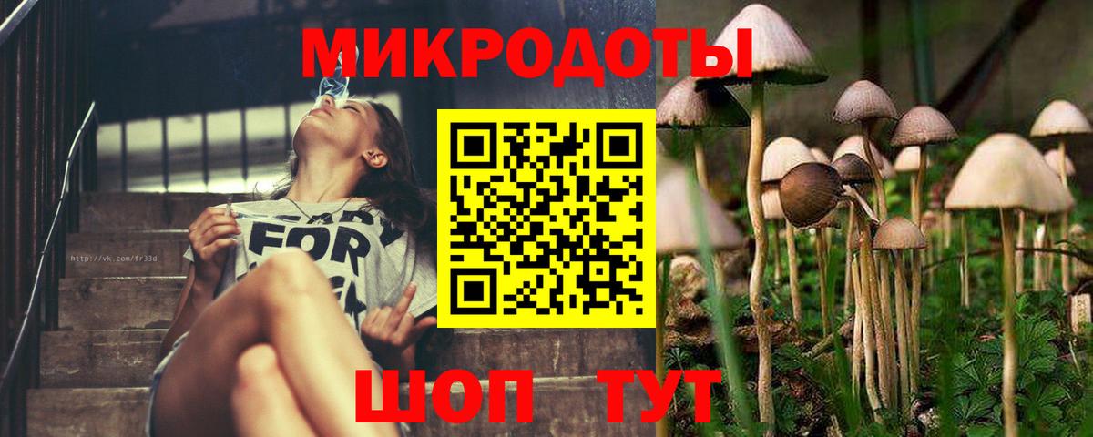 Псилоцибиновые грибы мухоморы Тара