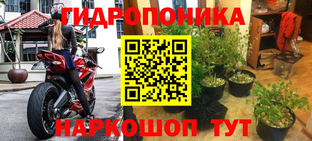 Тара  МАРИХУАНА тримм  Вход с VPN  Каннабис THC 21%  Бошки Шишки гибрид 